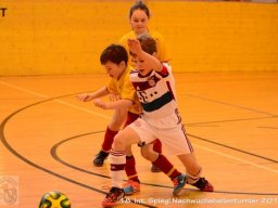 mini-Schlins-U9-Spiegl-DSC_1270